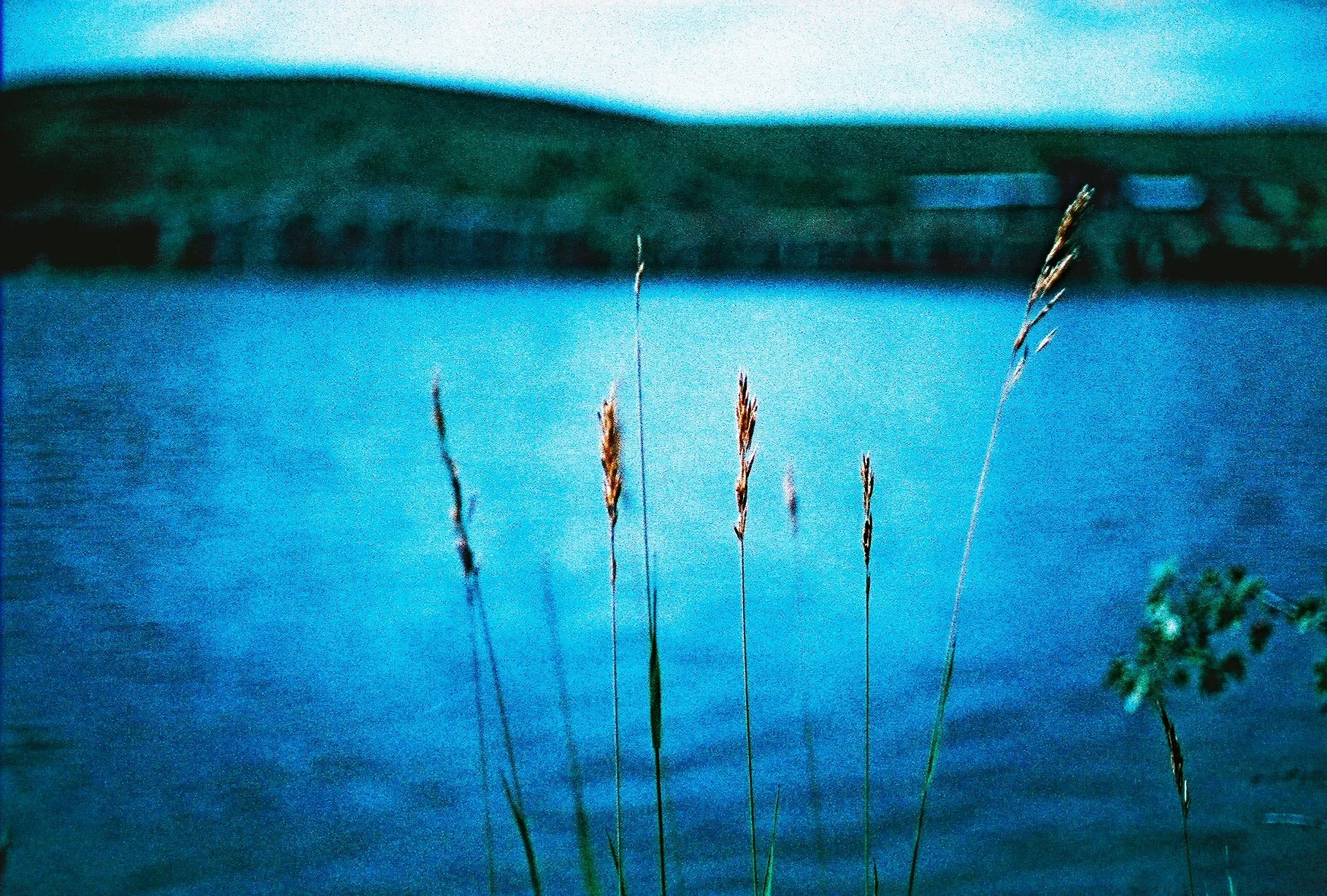 Neurodivergent Writing: How To Build Creative Practices That Work With Your Attention and Energy