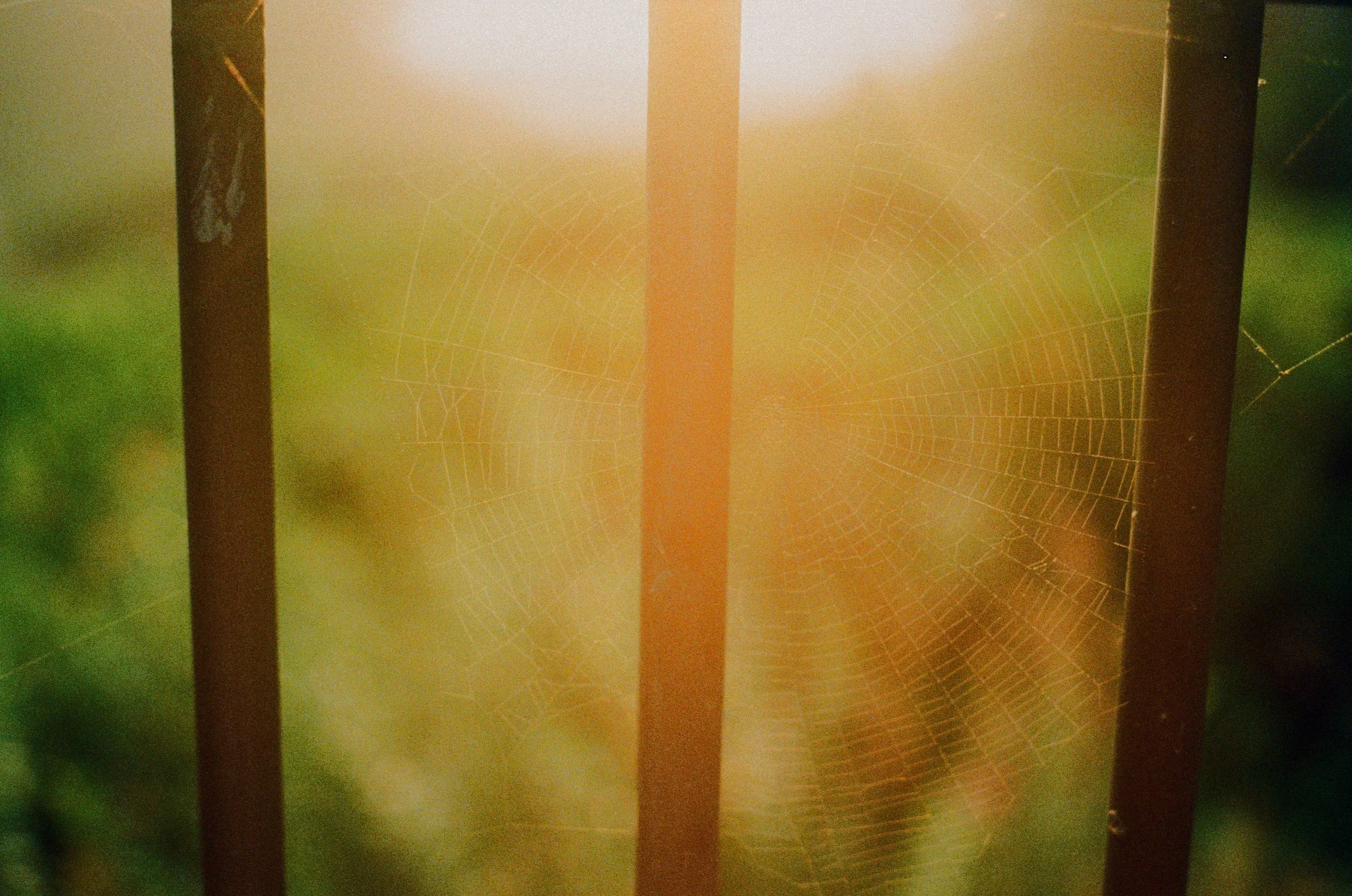 From Shadow Work to Creative Integration: Bringing Creativity Into the Daylight