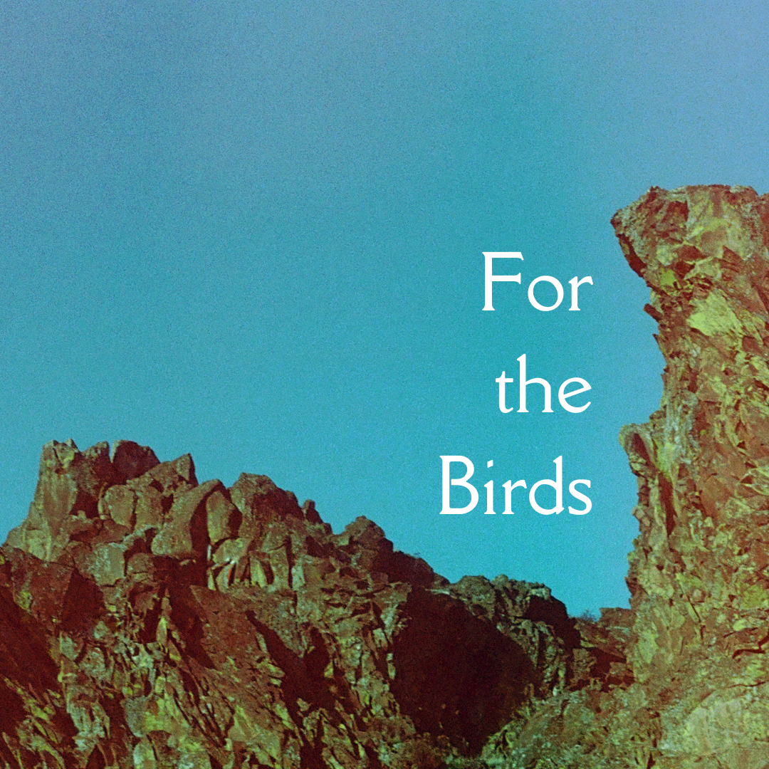A rocky butte against a bright blue sky. Overlaid text reads, "For the Birds."