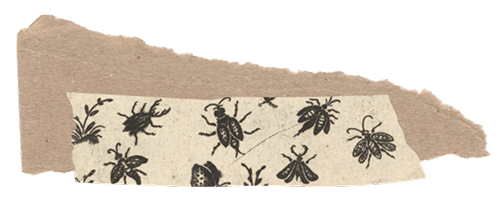 Part of a paper strip with black insect illustrations on a white background.