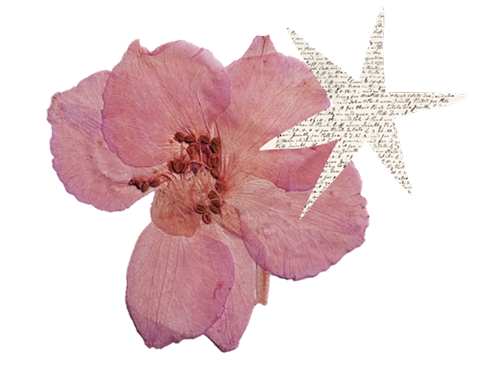 A pink flower with a star-shaped decoration made of newspaper and colorful paper accents behind it.
