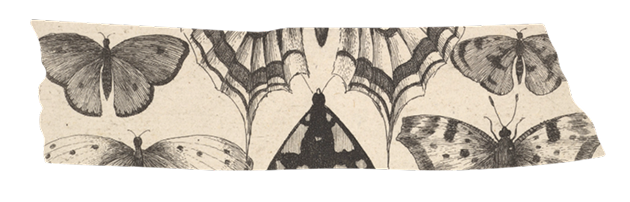 Illustration of various butterflies and moths with detailed wing patterns.