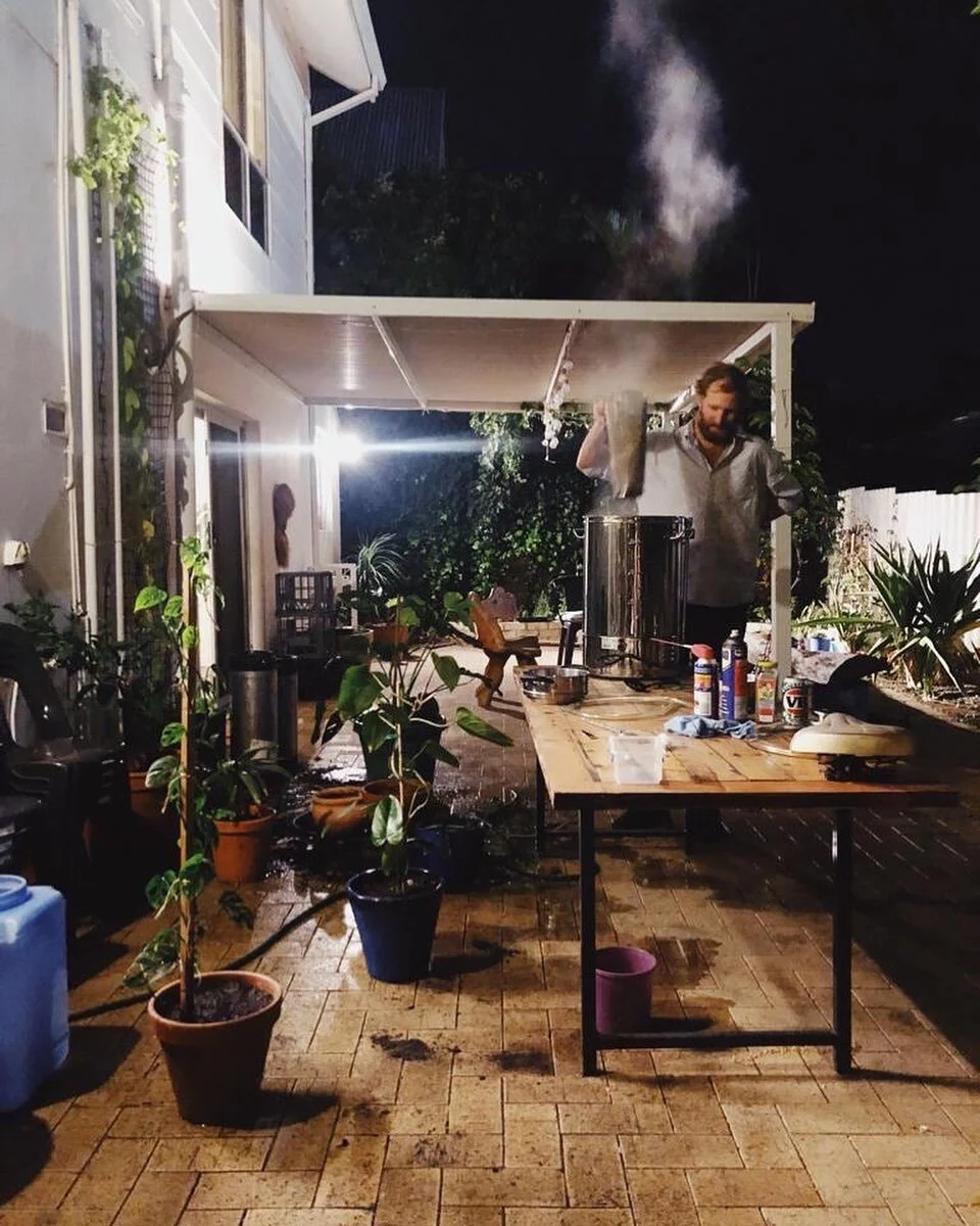 Life finds a way. Pre Balinga Hops circa 2018, growing our first hop plant up a south facing wall at a North Perth rental. Wet hopping straight from the bine into the kettle. Thanks @pinch_dash_glug for the snap