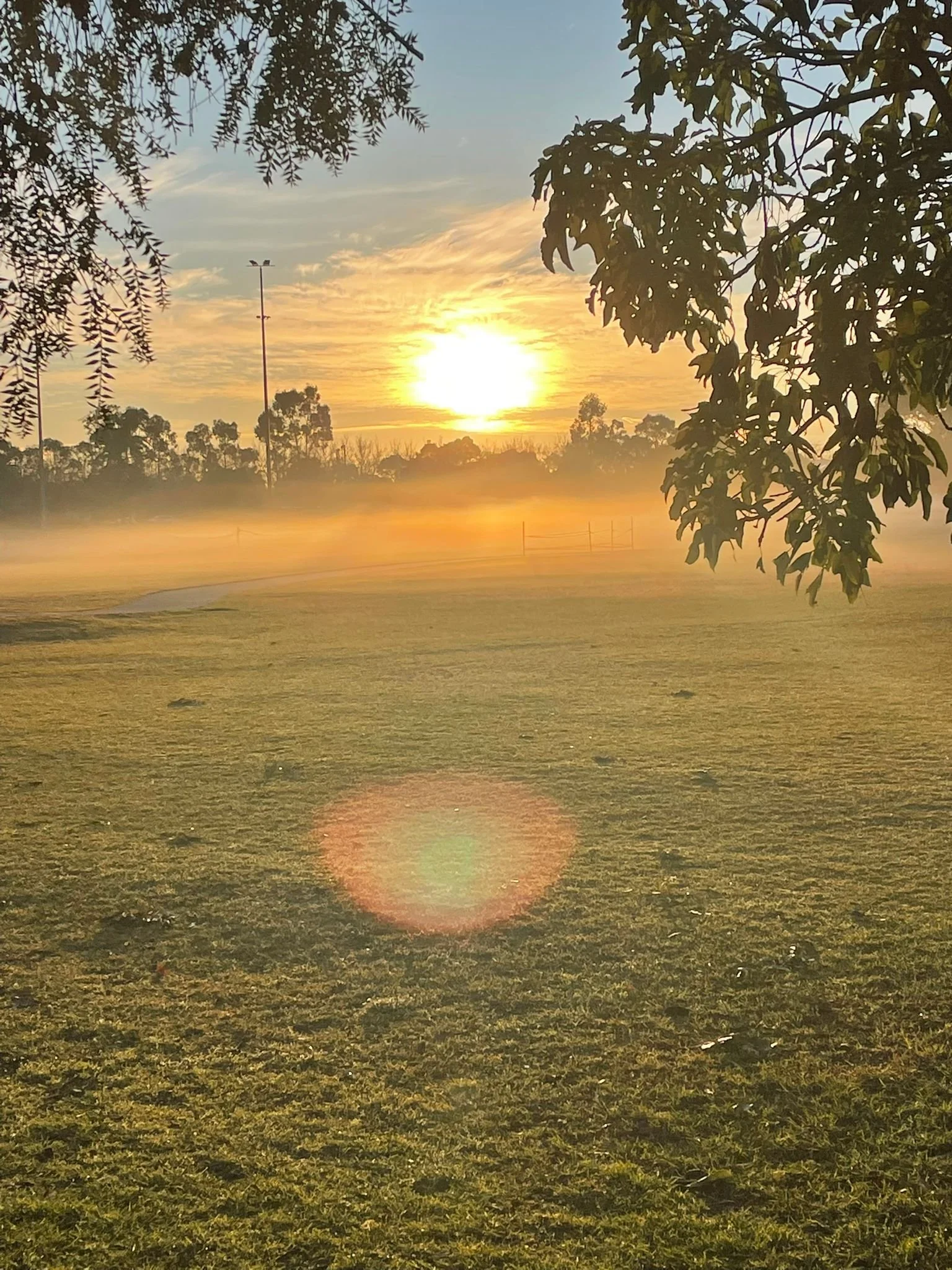 WhatsApp Image 2025-07-05 at 10.56.13.jpeg