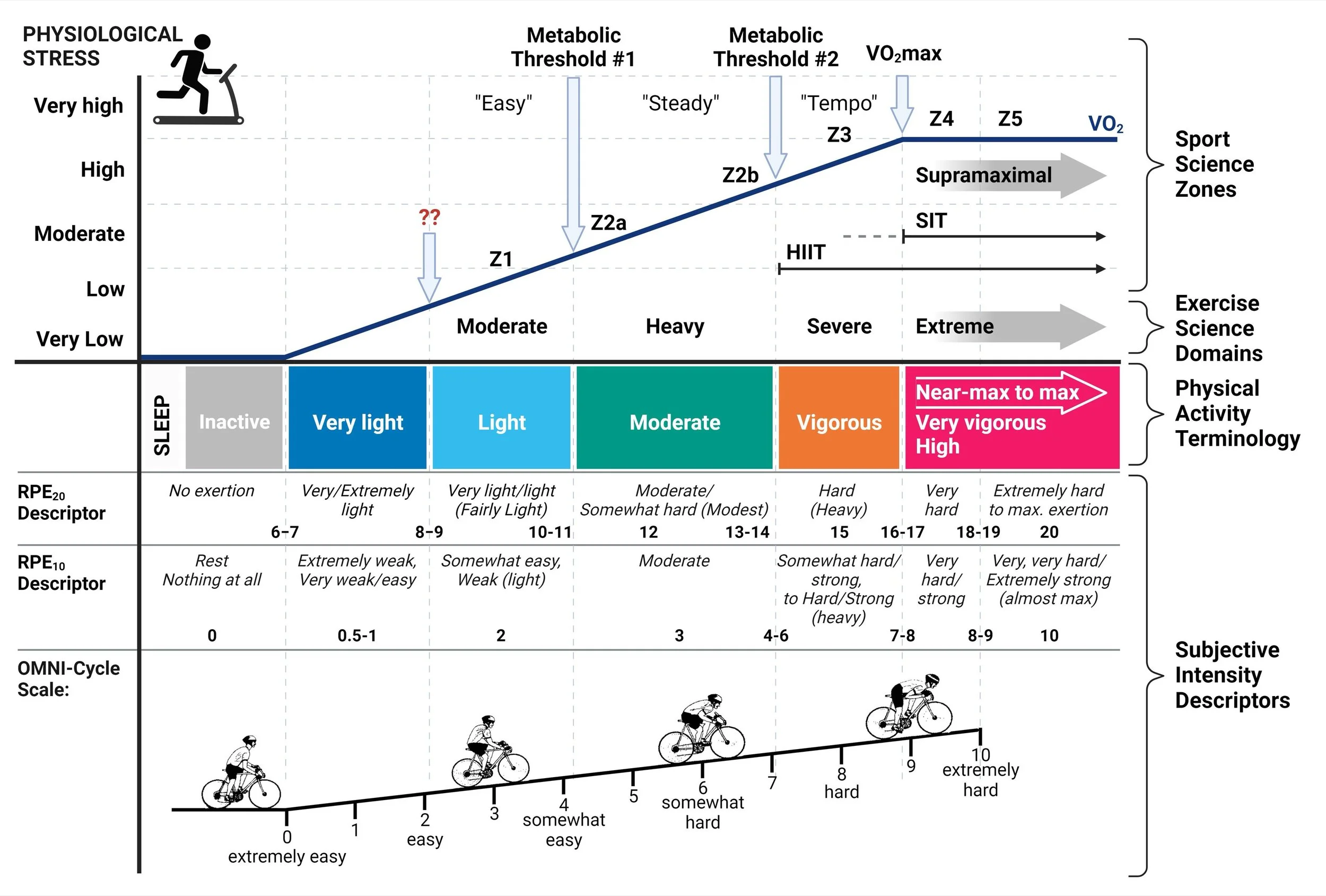 Graph showing training zones for vo2 max and longevity