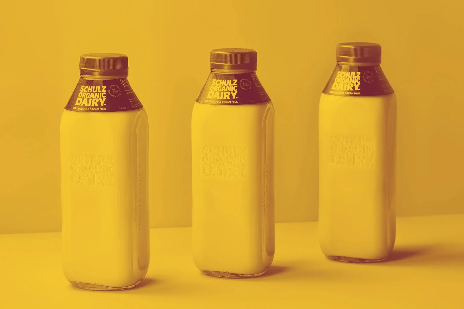 Three bottles of Schulz Organic Dairy milk arranged in a row on a yellow background.