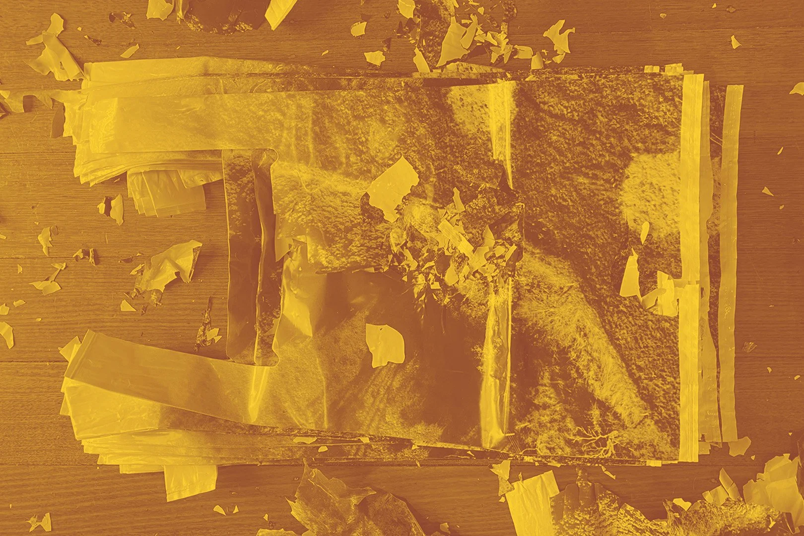 A broken and crumpled biodegradable plastic bag, showing plastic lifecycyle for sustainable packaging.