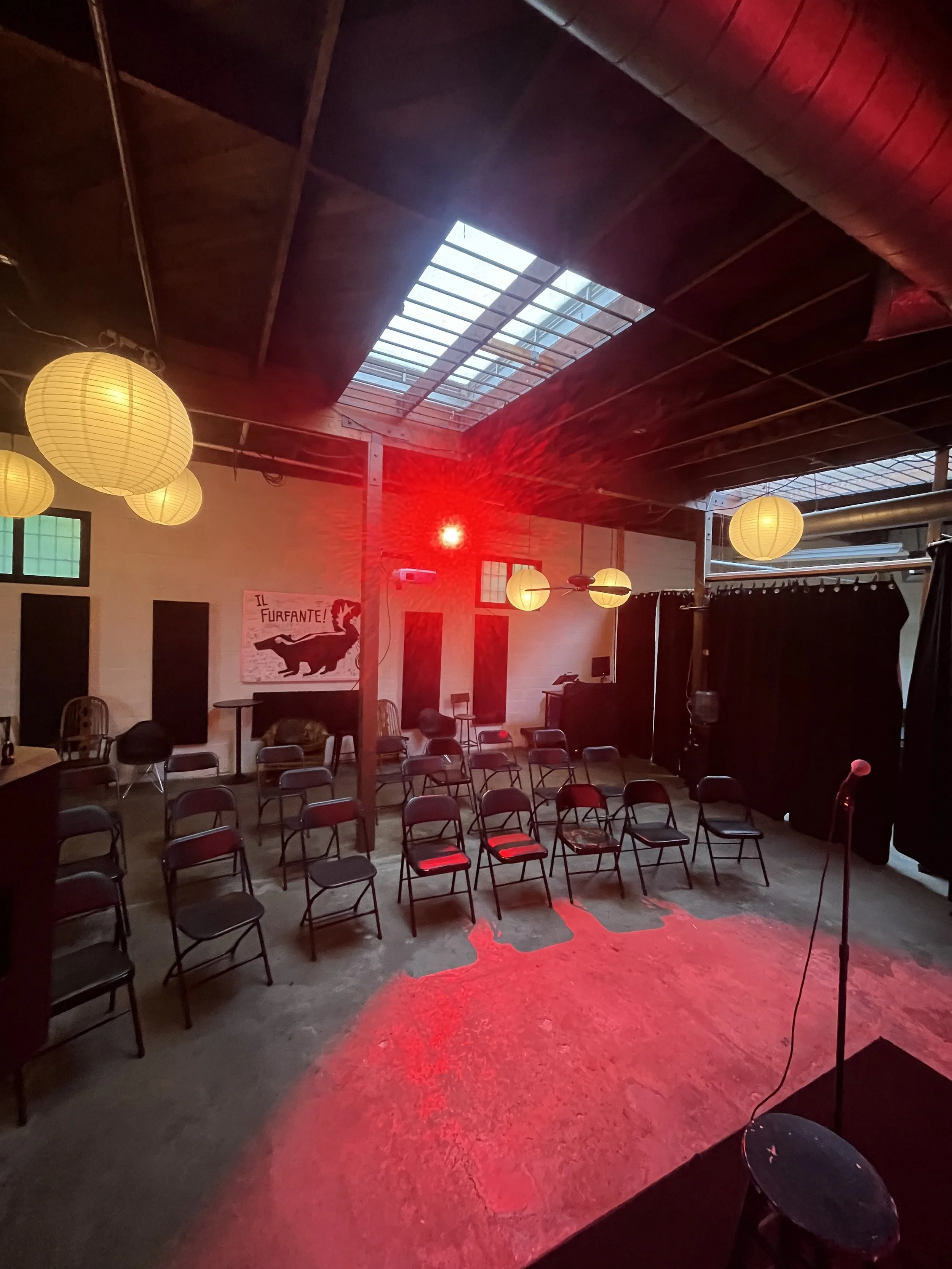 Skunk with audience.jpg