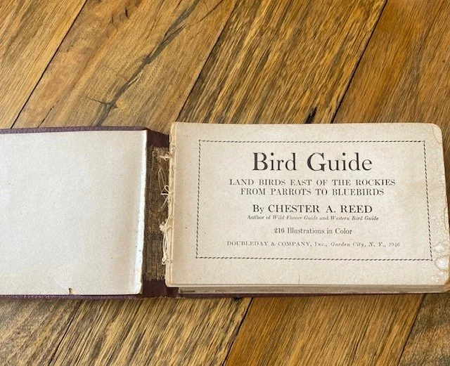 Birds2.jpg