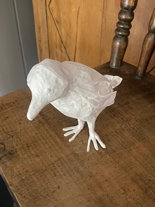 Bird5.jpg