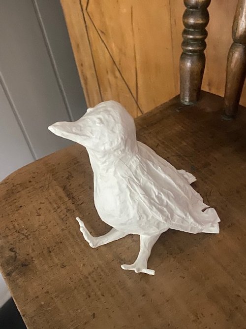Bird6.jpg
