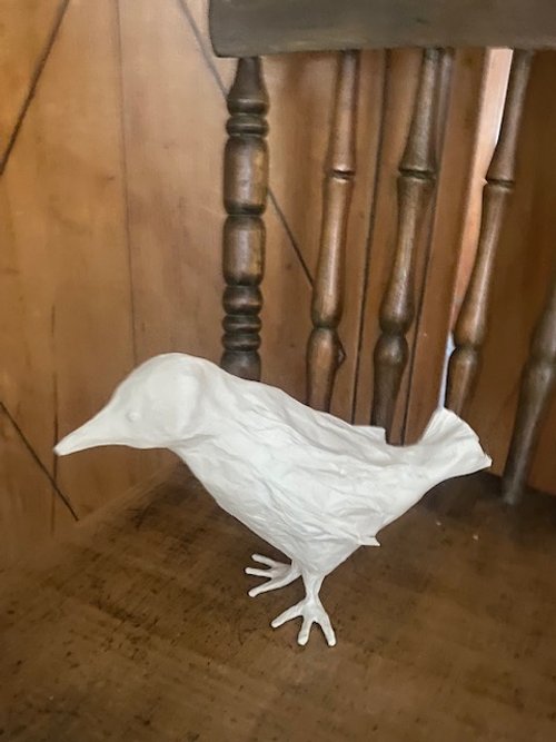 Bird1.jpg