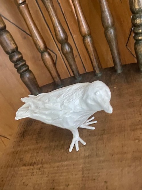 Bird7.jpg