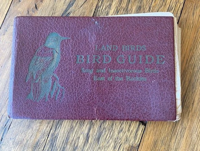 Birds1.jpg