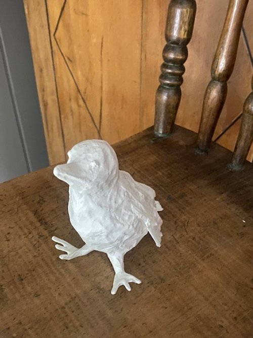 Bird4.jpg