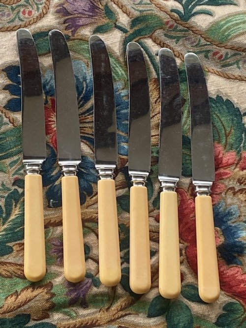 Vintage Bone Handled Knives (6)