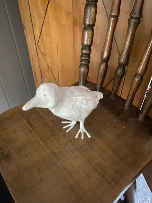 Bird8.jpg