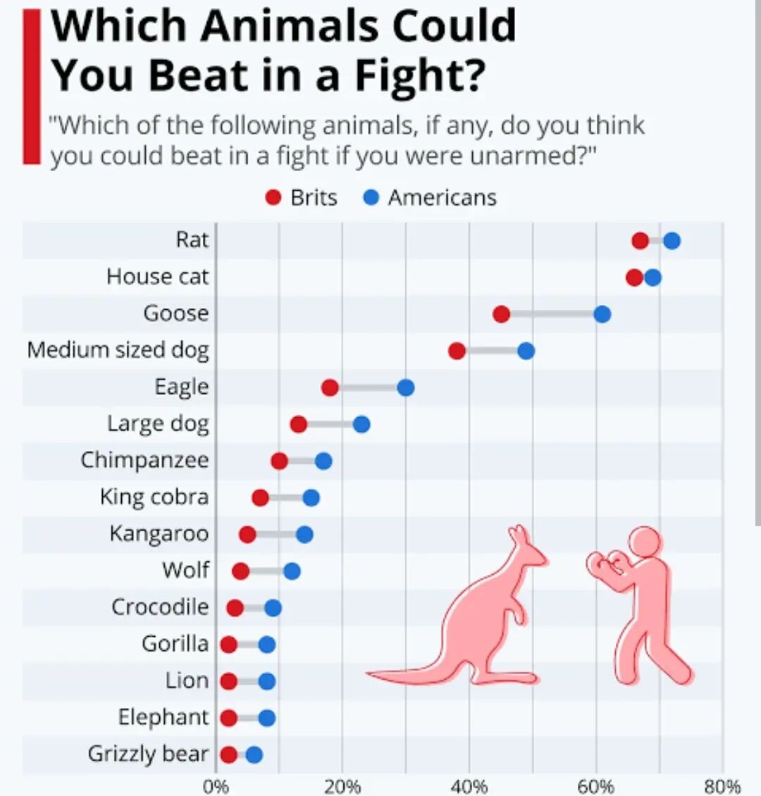 @timkennedymma shared this study that asked both Brits and Americans which animals they could defeat in an unarmed fight 🤣

A few points I thought of..

- far too many people underestimate themselves against rats and house cats (I hope)

- The cobra