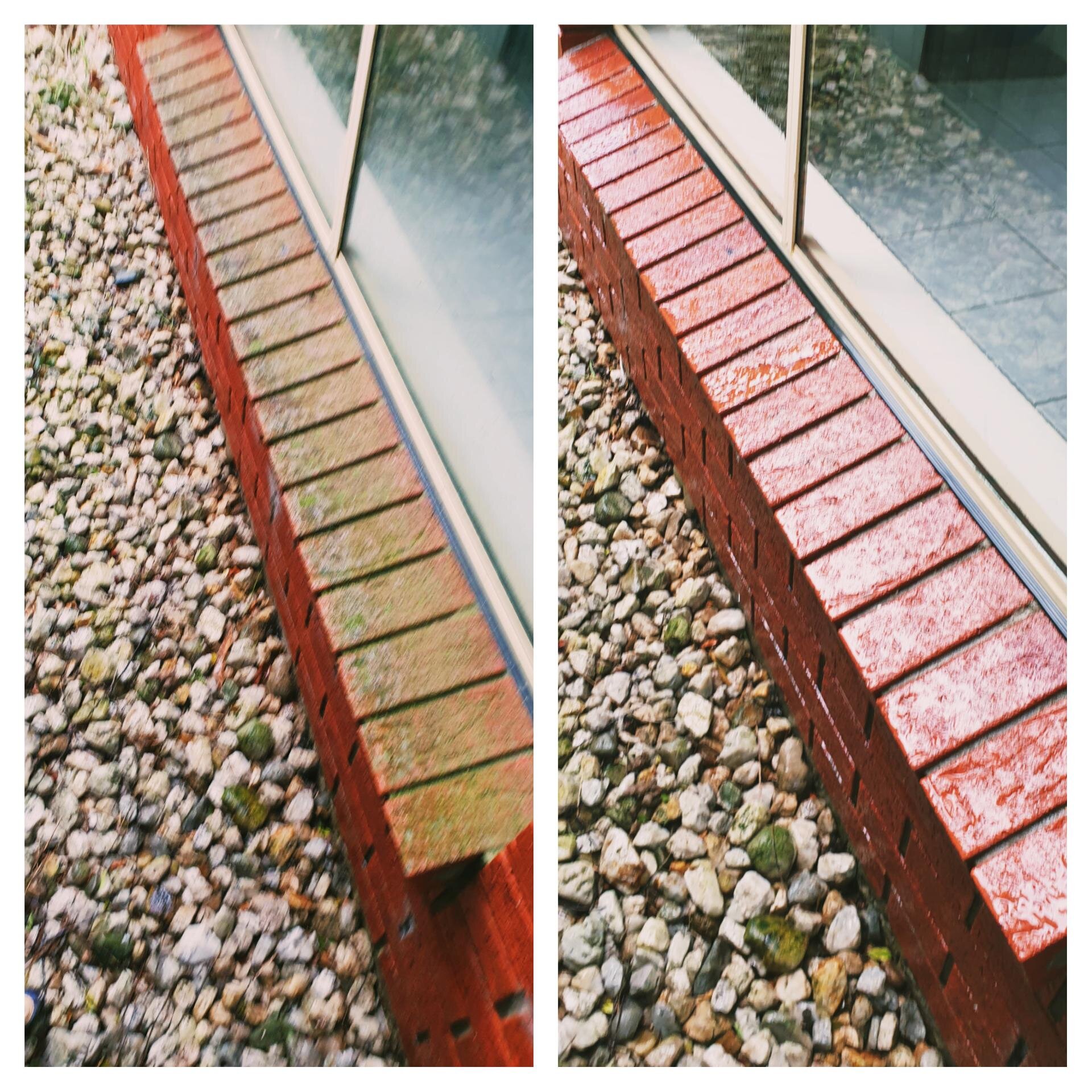 inCollage_20210920_094249635.jpg