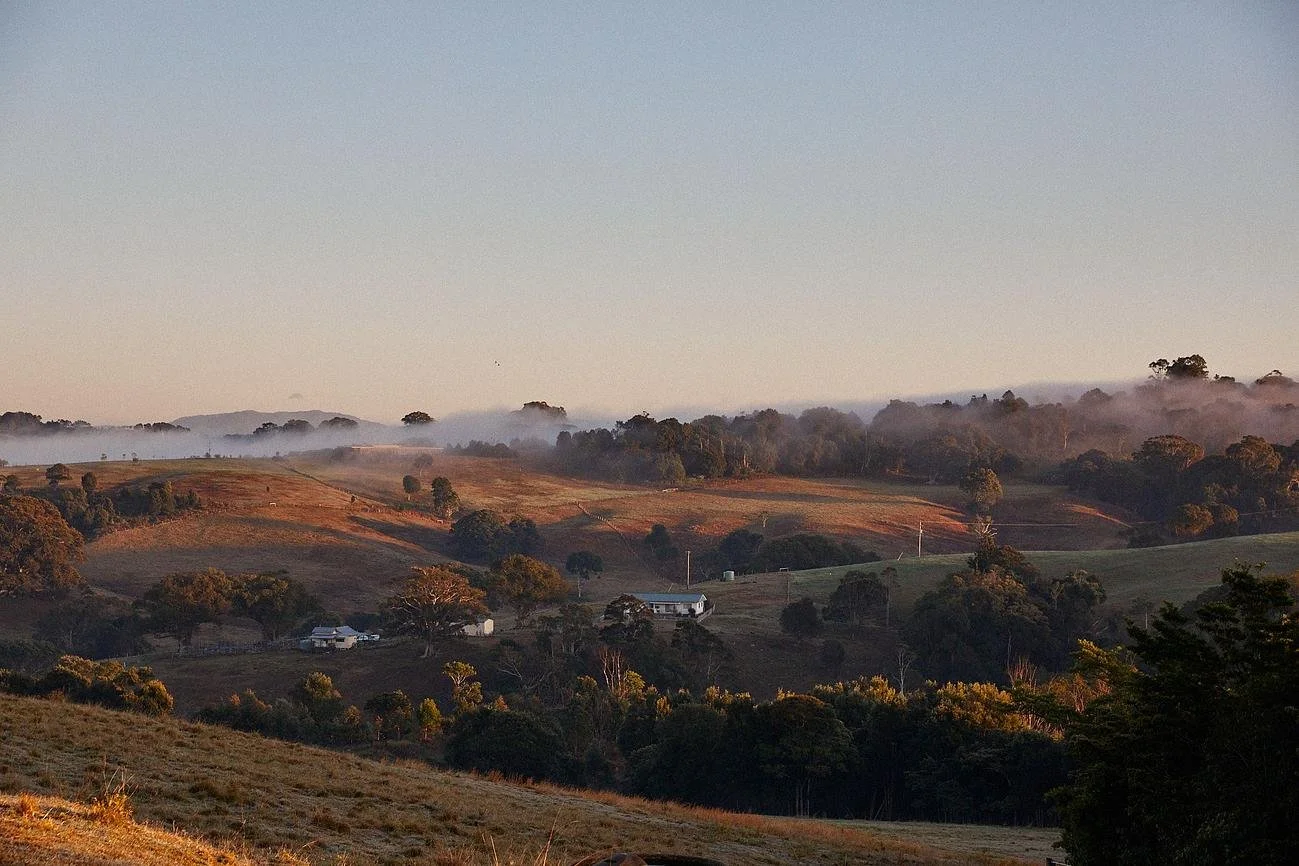 Views over the hills of byron bay