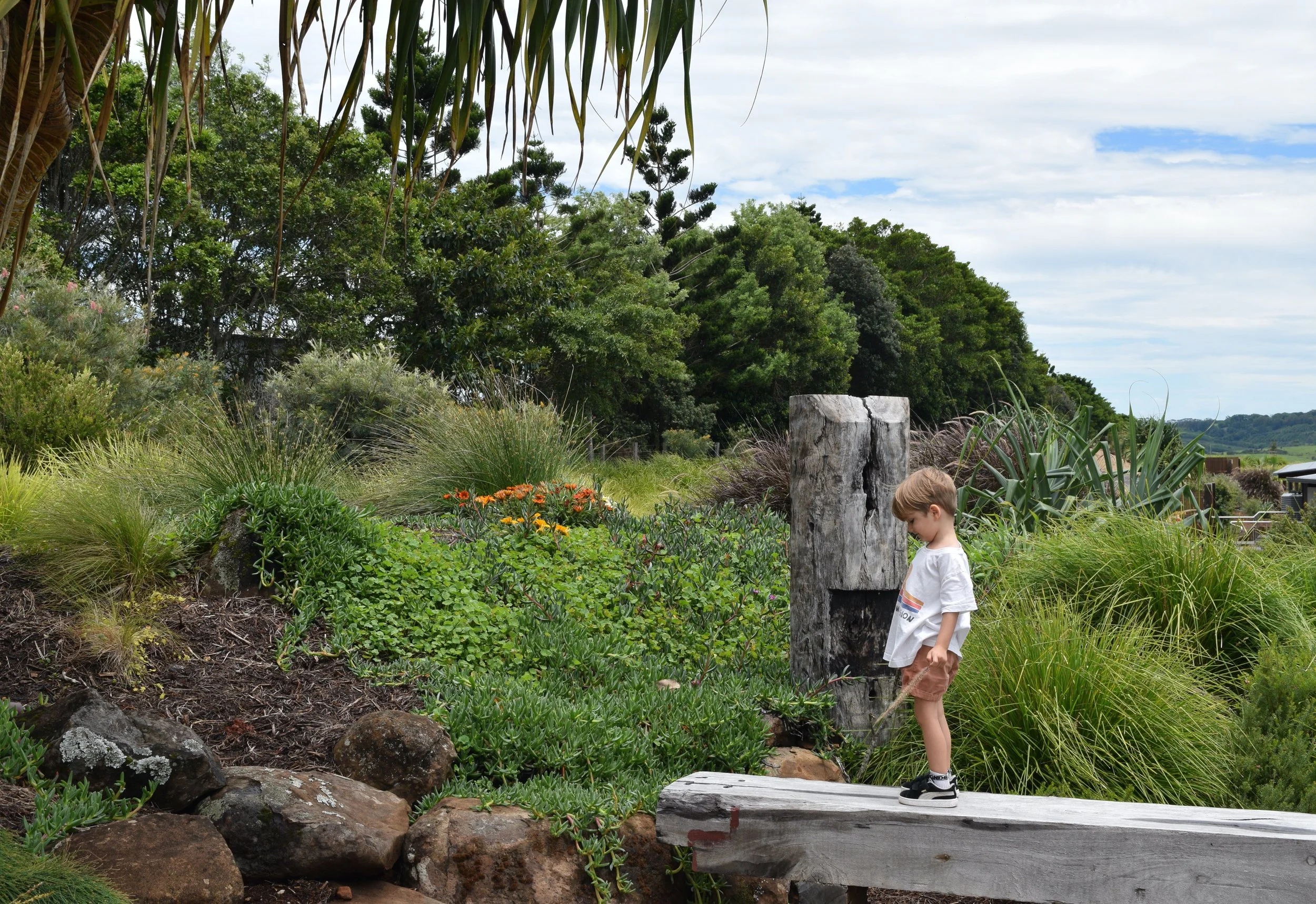 Carinya_Byron_Bay_Activities_Property_Outdoors.jpeg