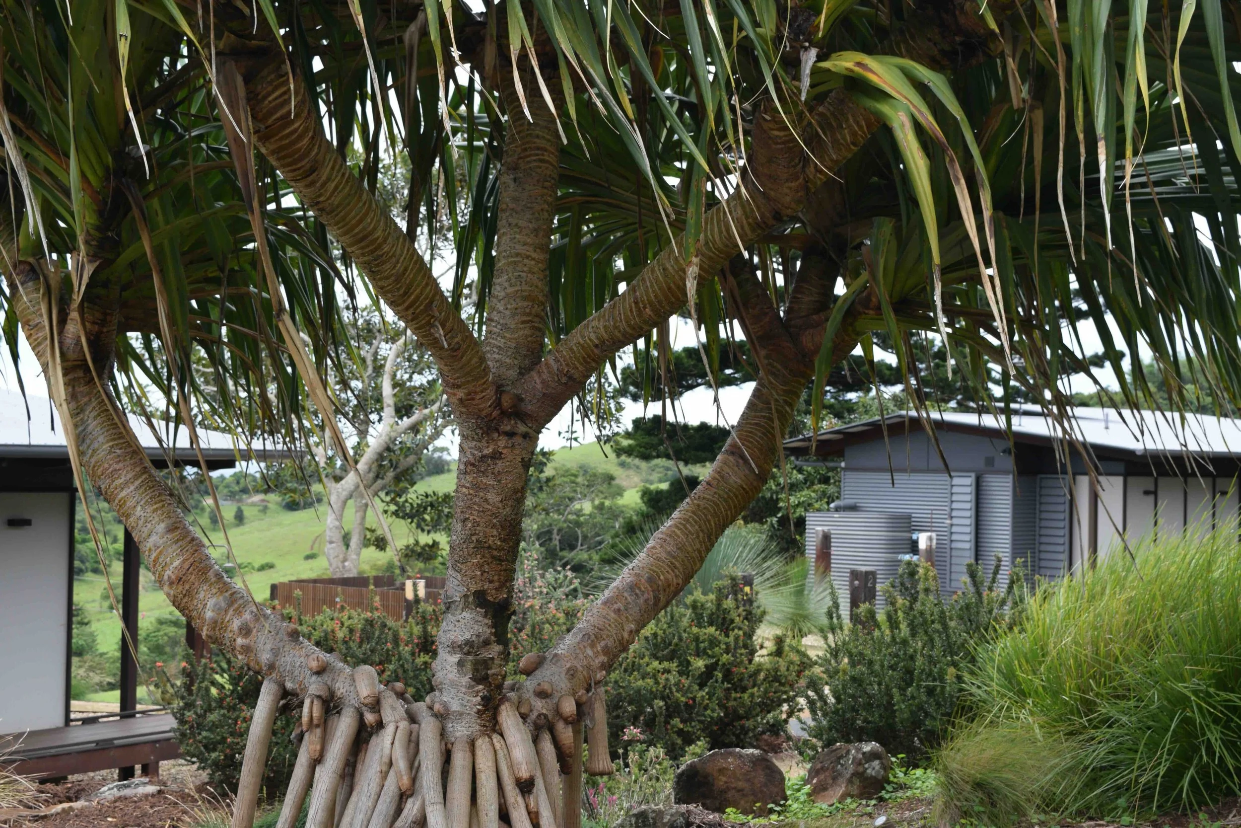 Carinya Villas