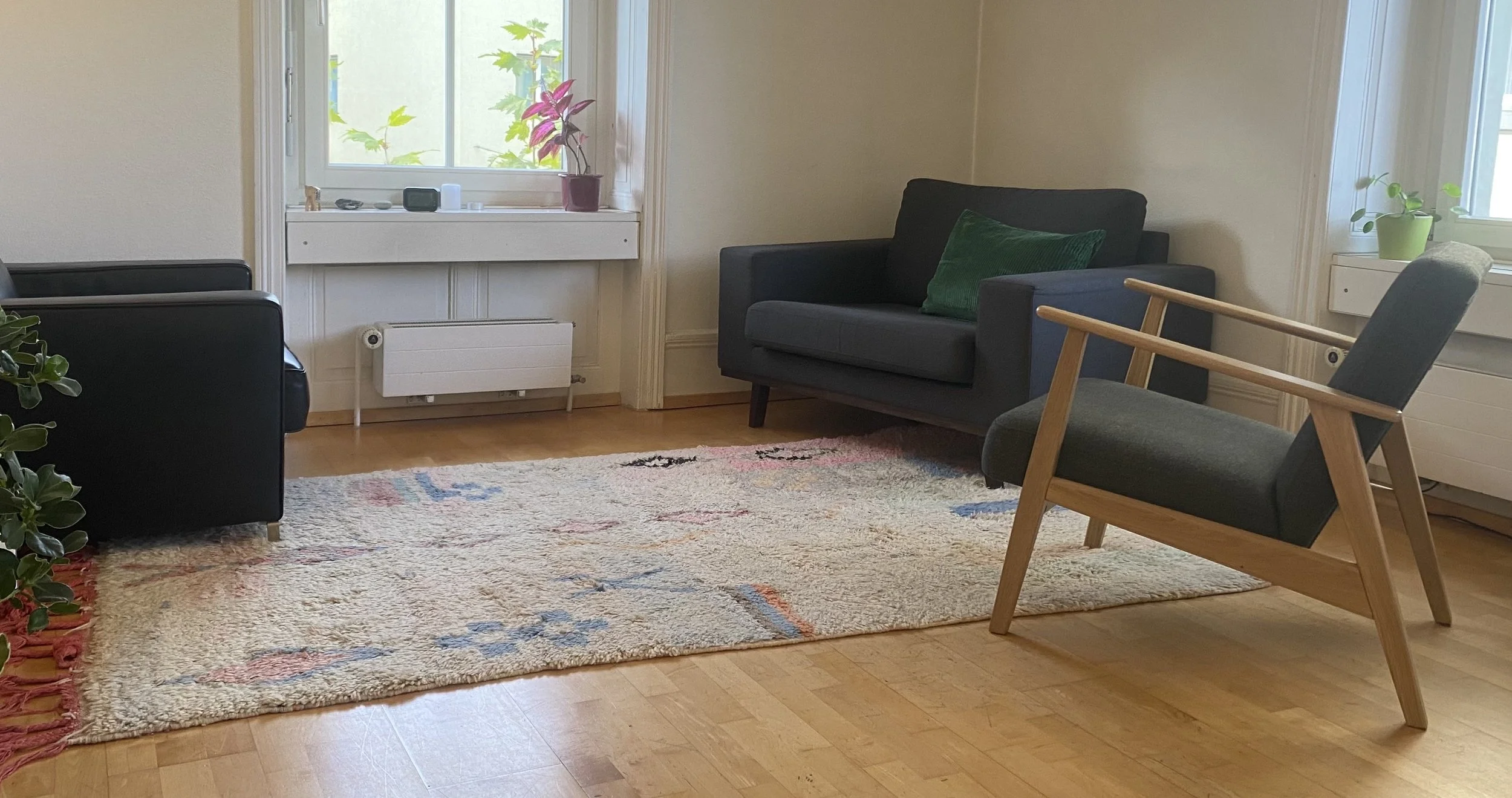 Ein Wohnzimmer mit einem hellen Teppich auf Holzboden, zwei Sofas und einem Sessel. Es gibt Pflanzen auf der Fensterbank und ein großes Fenster.