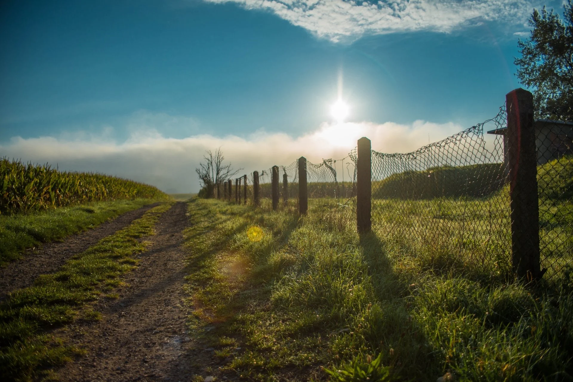 Ein ländlicher Weg führt an einem Weidezaun entlang, mit grünen Feldern und Bäumen im Hintergrund, unter einem blauen Himmel mit einigen Wolken, sonnig und ruhig.
