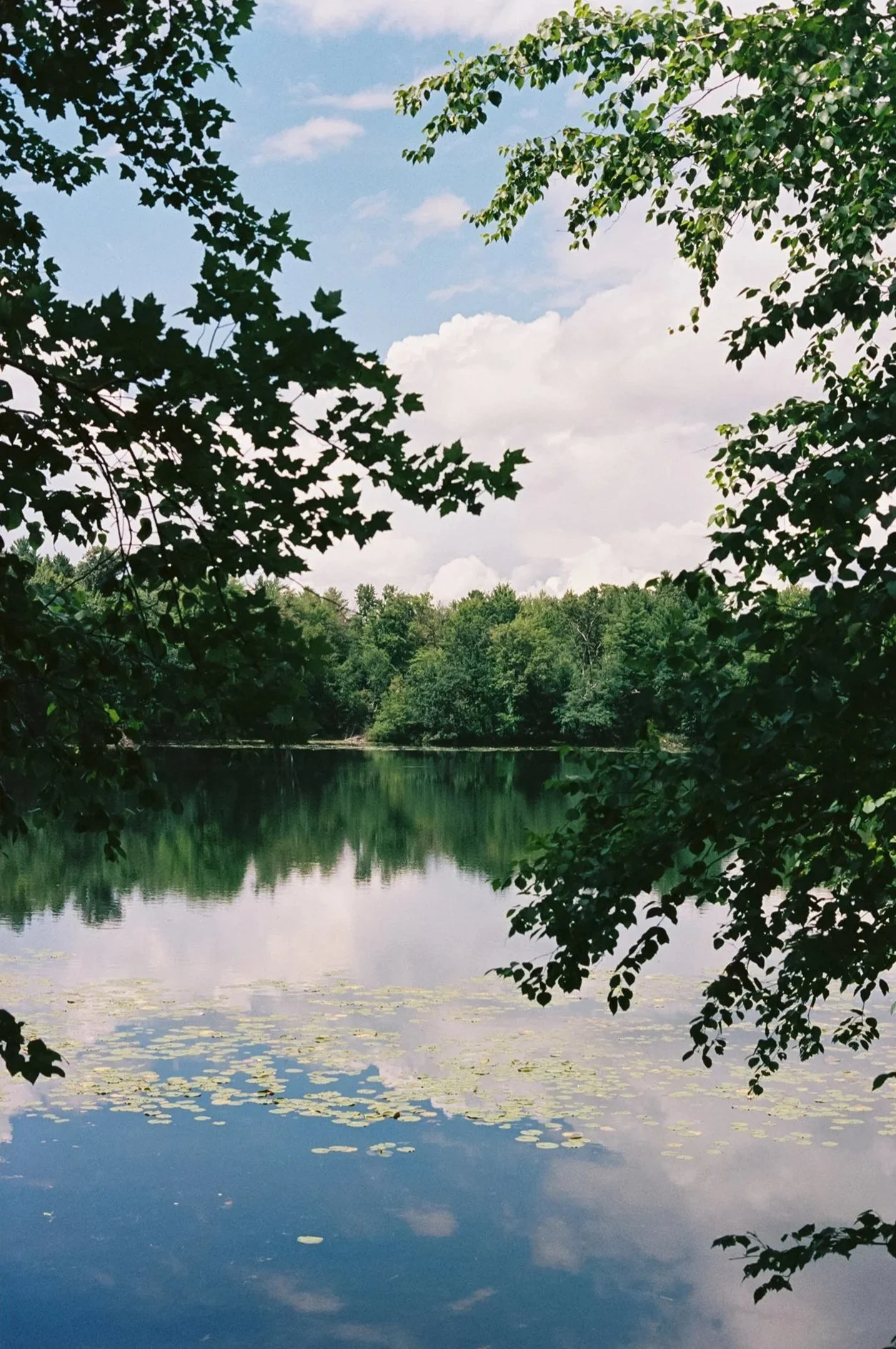 camp-elsewhere-wisconsin-wedding5.jpg