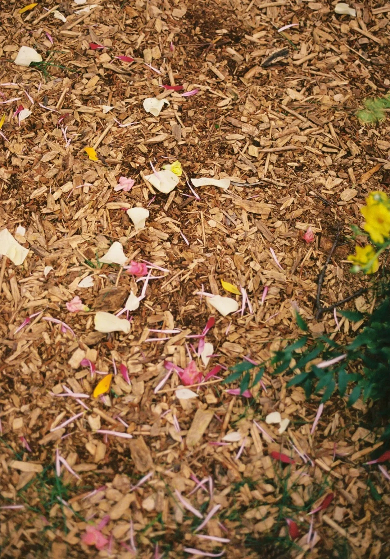 camp-elsewhere-wisconsin-wedding52.jpg