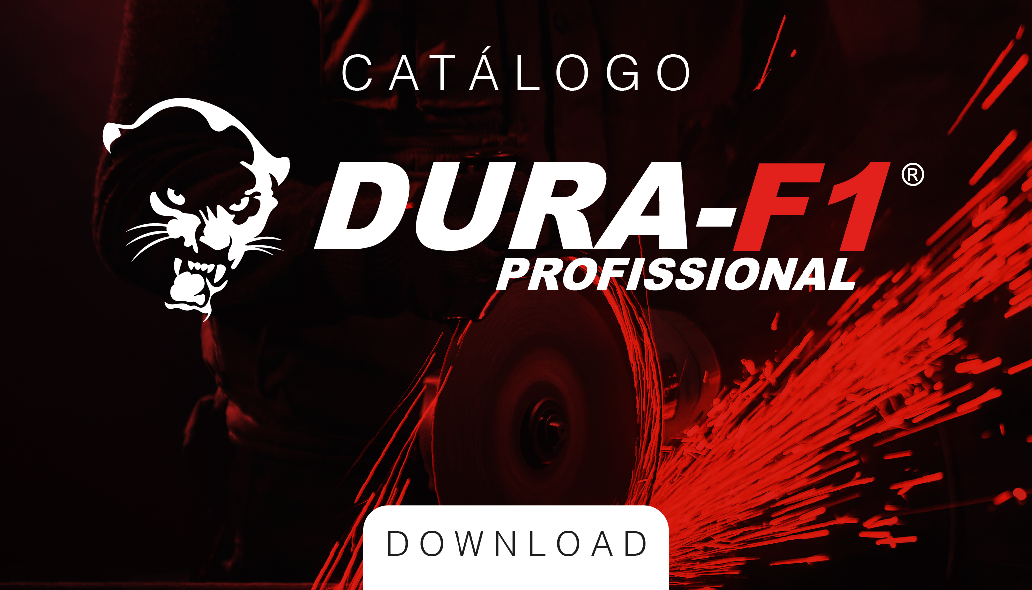 CATÁLOGOS_DOWNLOAD-02.png