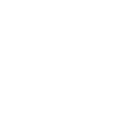 Pioneer Leadership Ltd