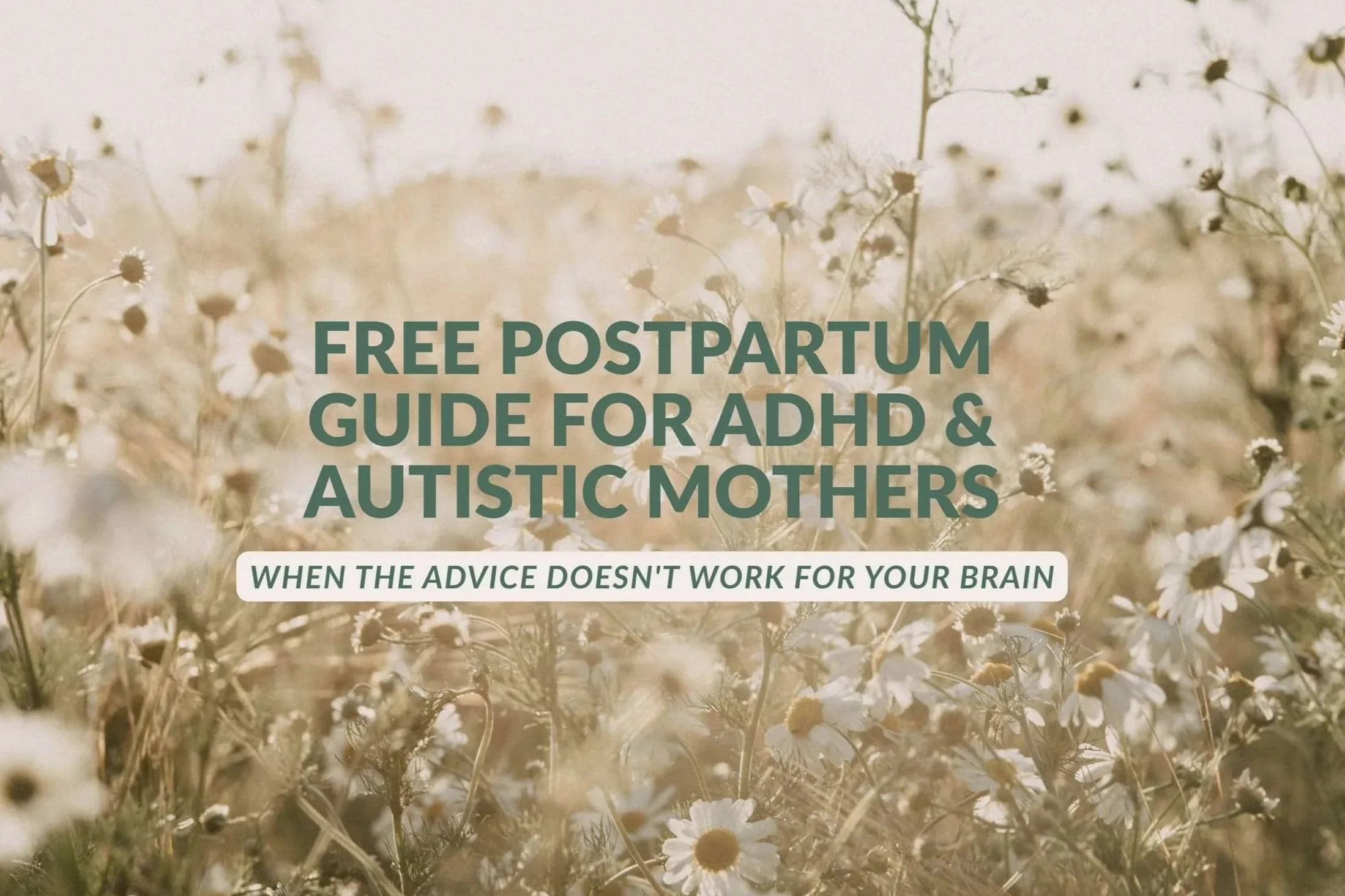 Field of poppies with a text that reads free postpartum guide for ADHD and Autistic mothers