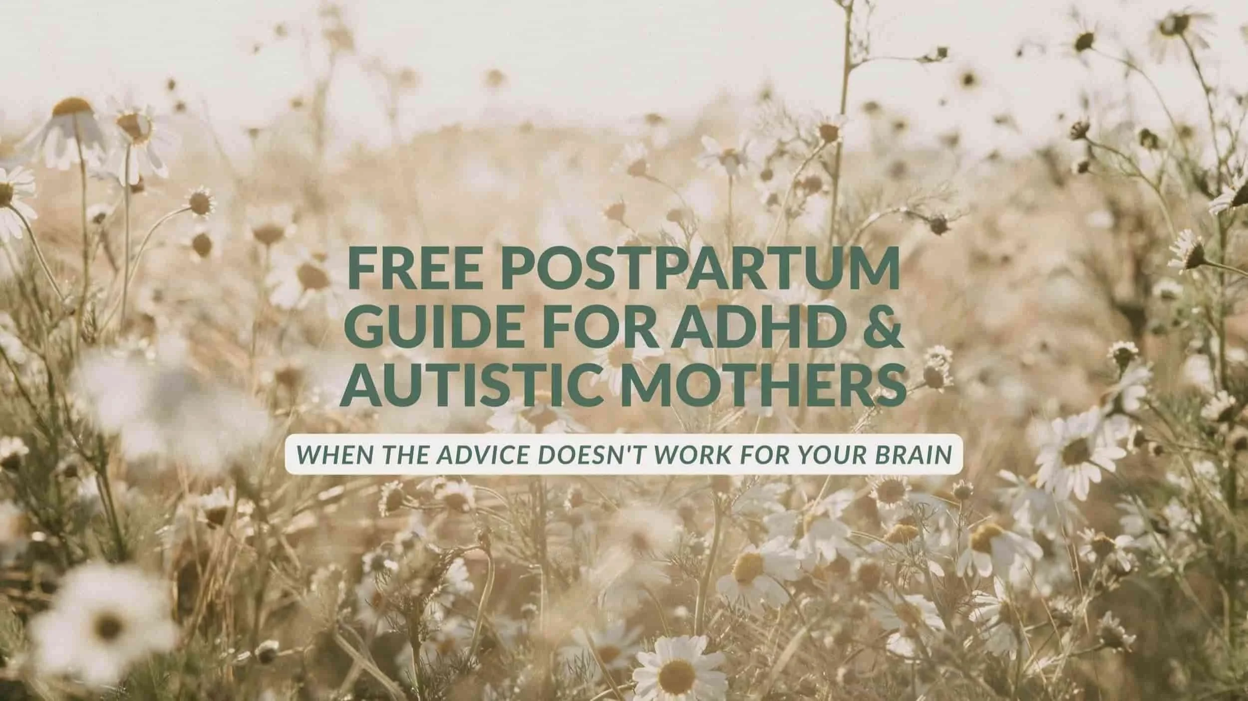 Free Postpartum Guide