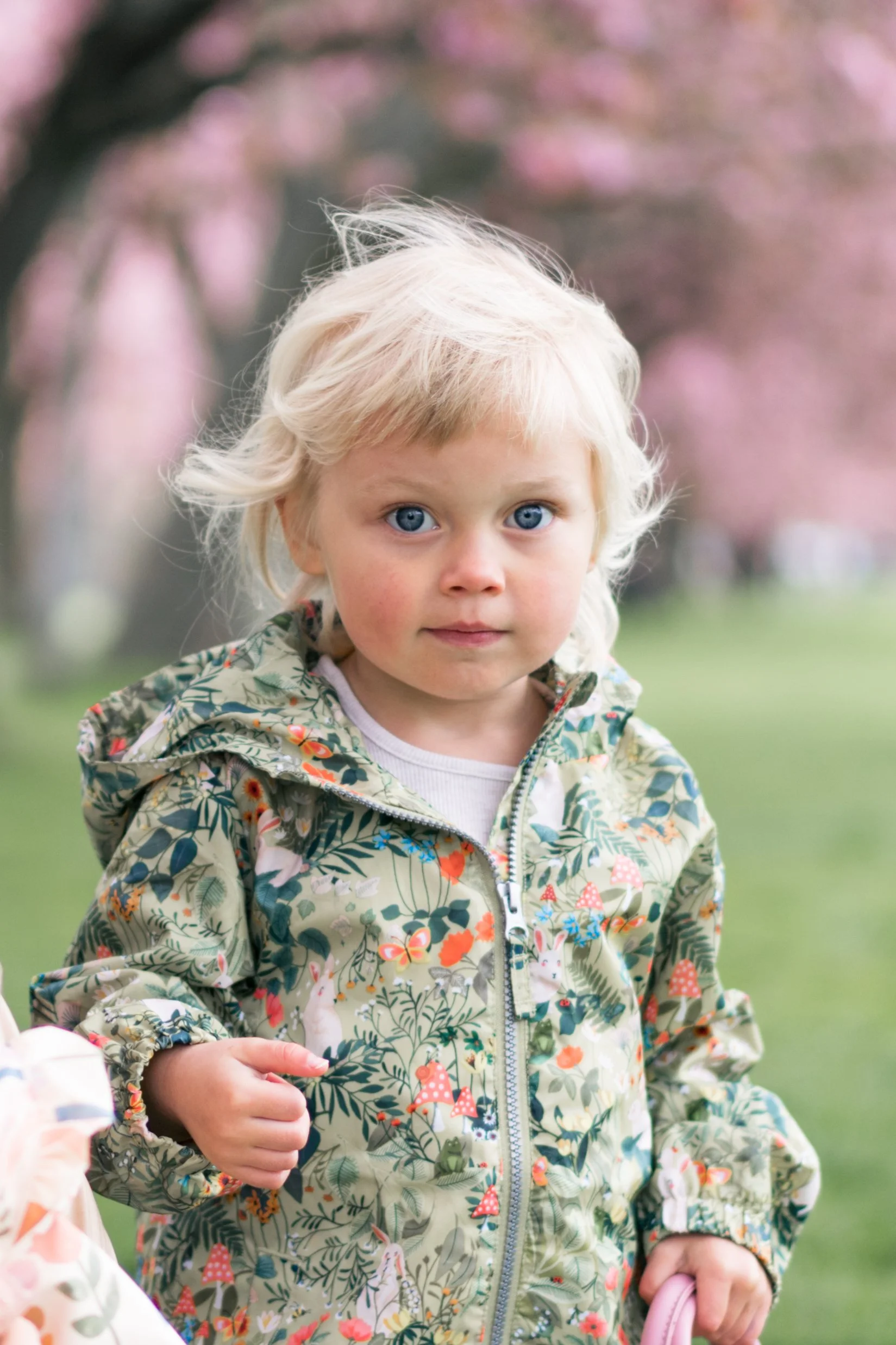 A young girl with blonde hair and blue eyes, wearing a floral-patterned jacket, standing outdoors with pink flowering trees in the background.