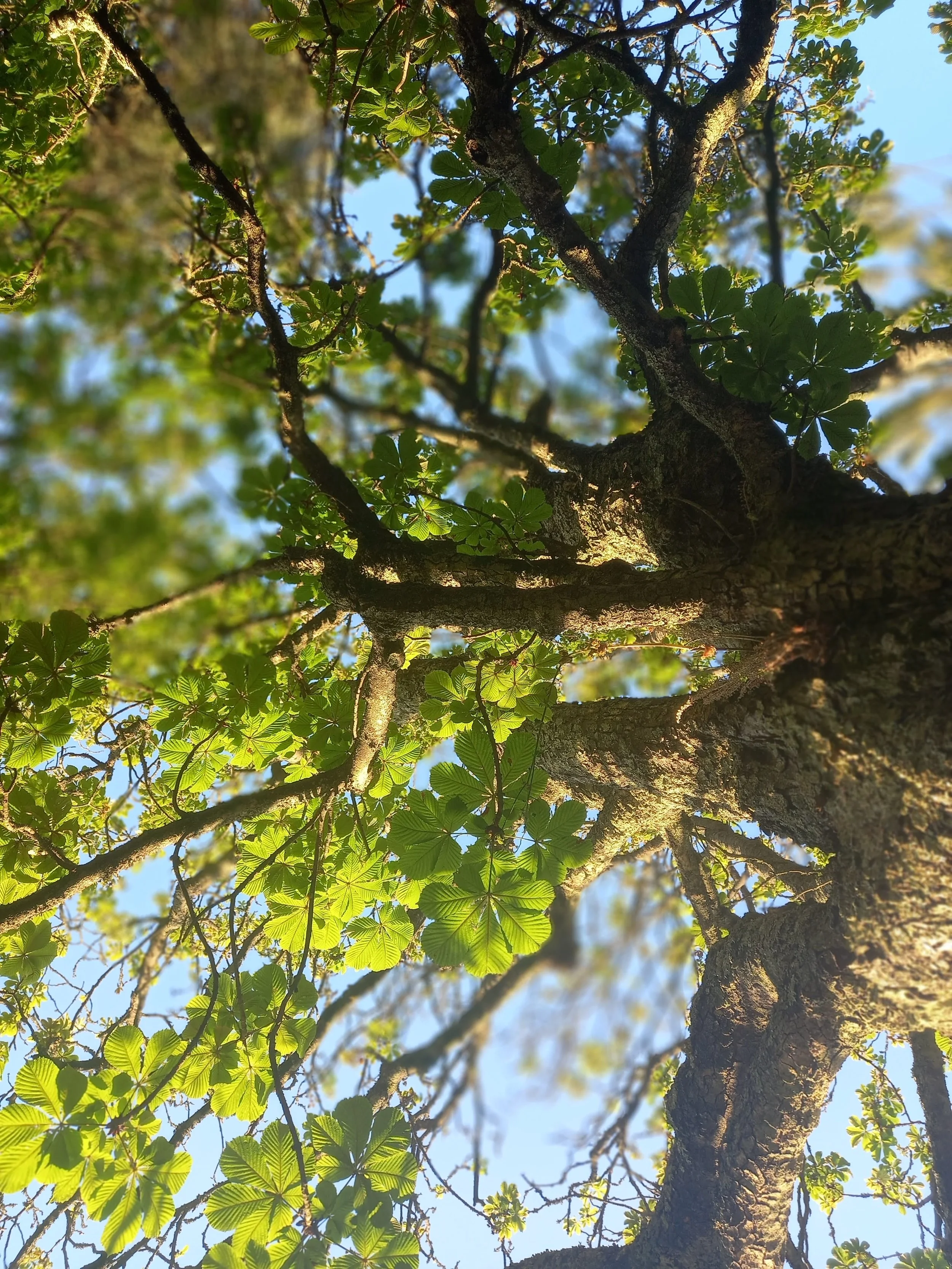 20240602_200336.jpg