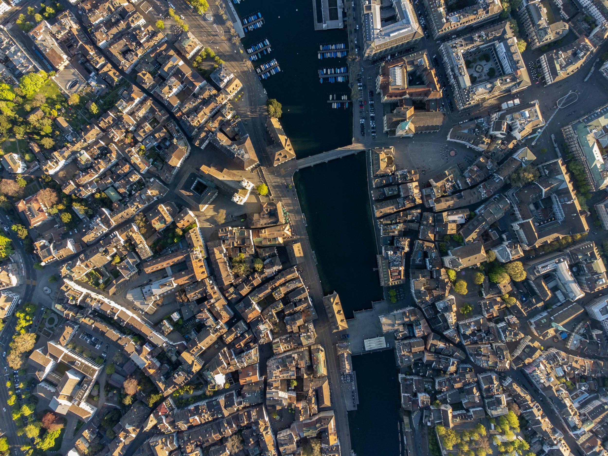 European Securities Market & Private Swiss Trust Structures: Accessing Euroclear