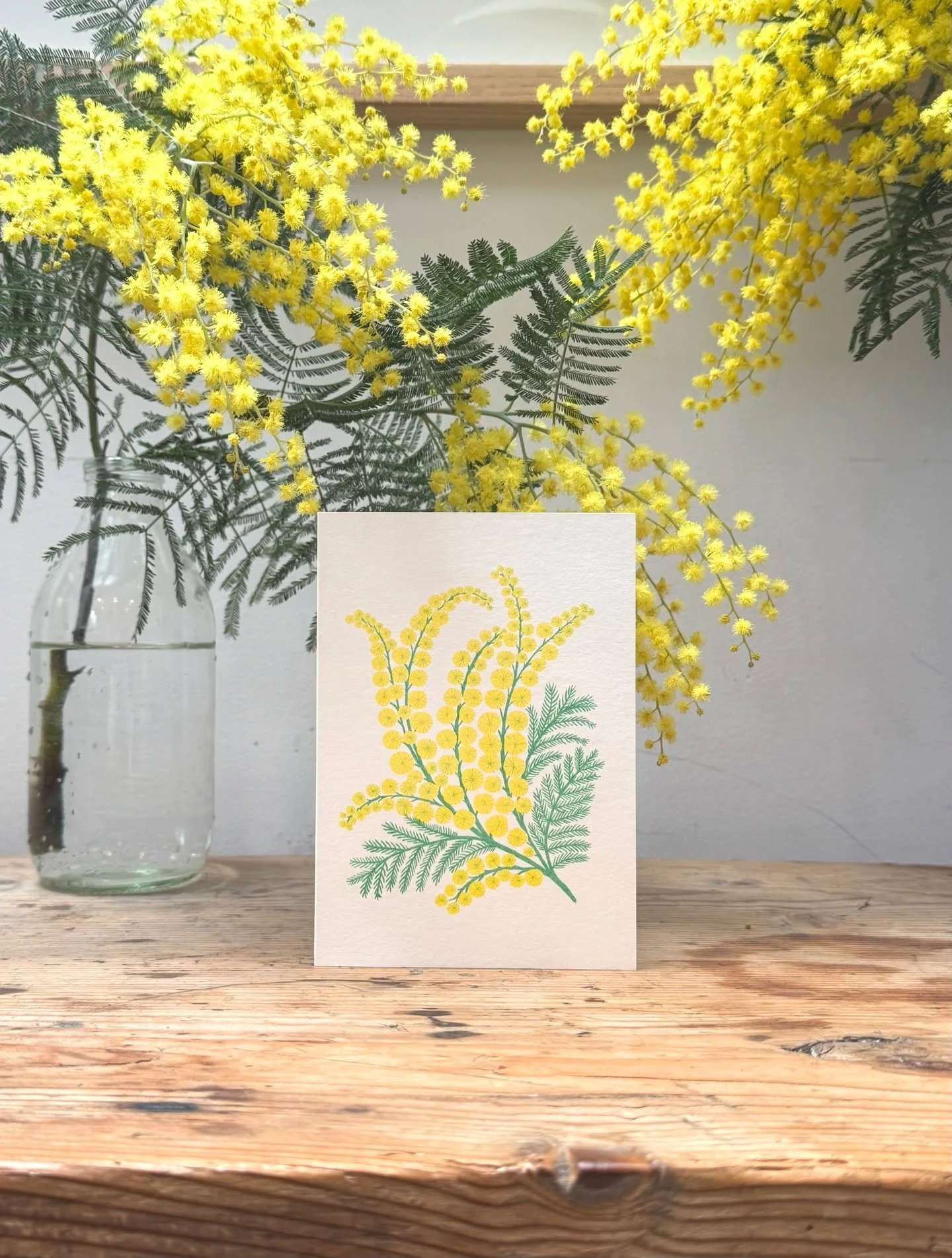 Some little mimosa cards to honor the magical mimosa tree in our back garden. Bringing its little puffs of sunshine to a very gloomy time of year. It has bloomed even earlier than normal this year.

About 7 years ago I planted a little mimosa sapling