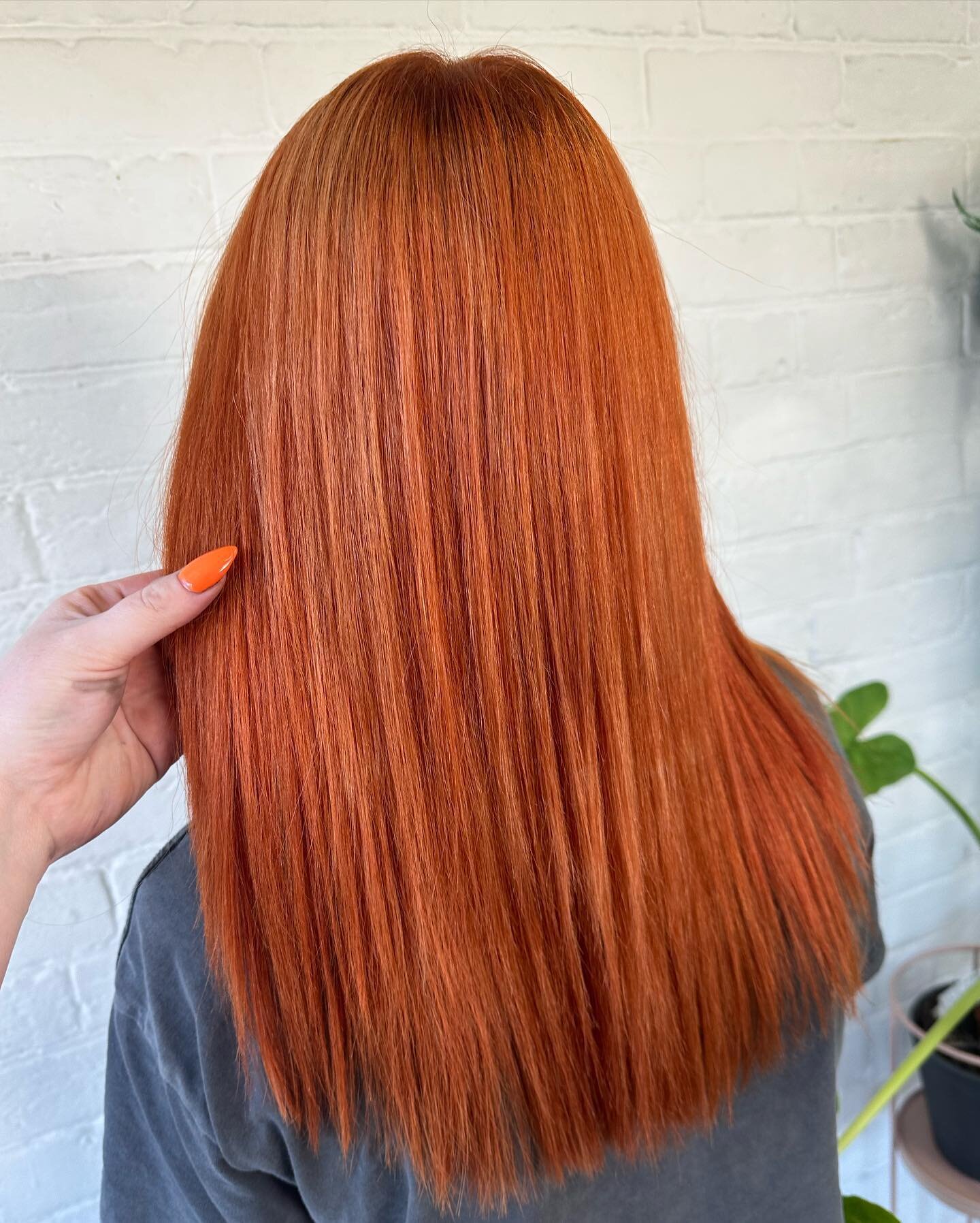 Beautiful colour transformation! 

WE DO LOVE OUR COPPERS 

#hairstyle #hairdresser #copperhair #haireducation #hairtransformation