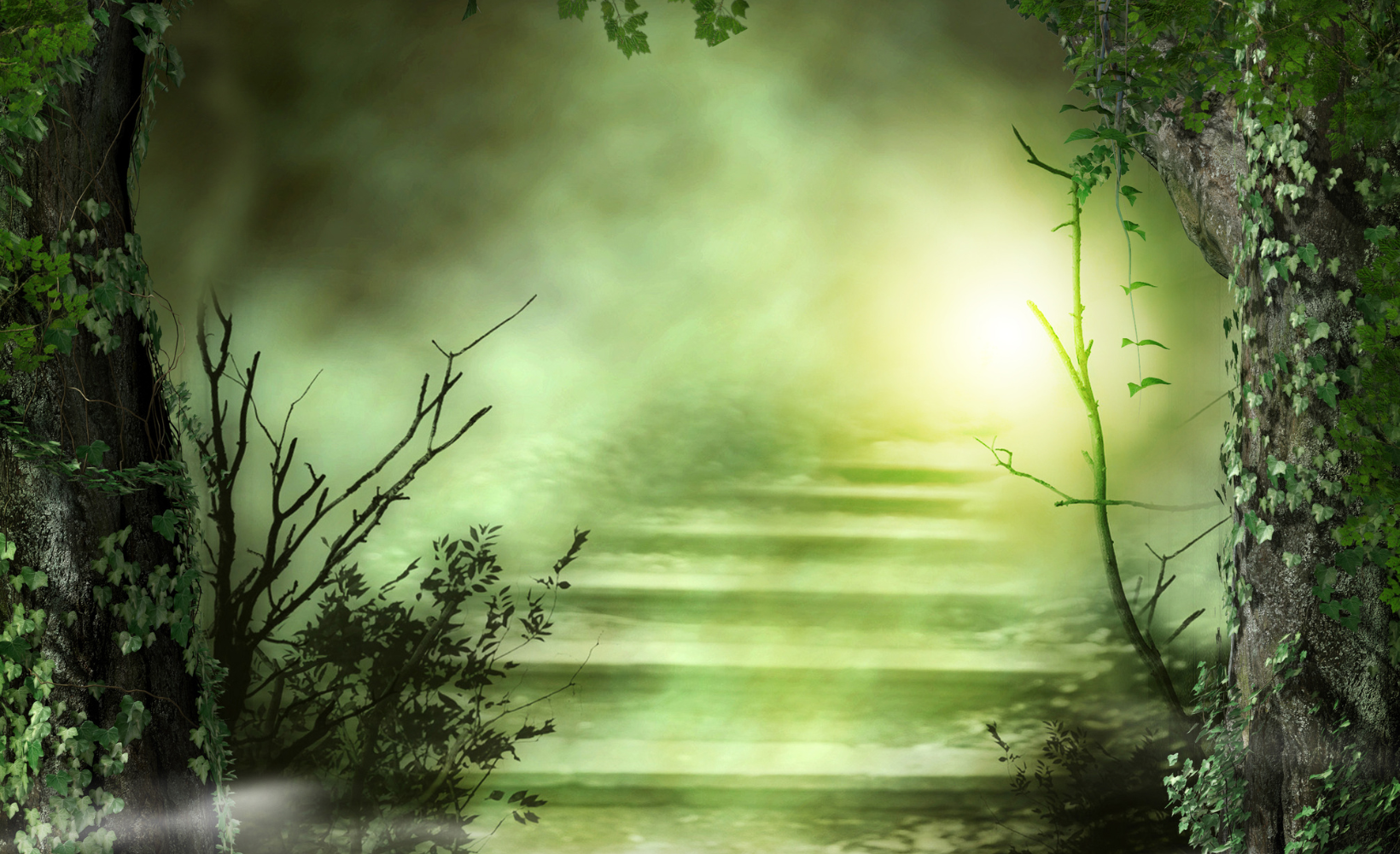 Un río en un bosque con árboles cubiertos de enredaderas y vegetación, iluminado por la luz del sol
