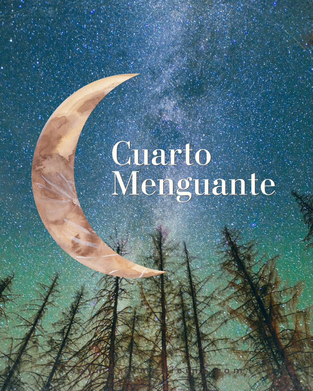 🌗 Cuarto menguante: descanso y limpieza