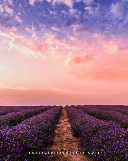 🫀Abundancia
