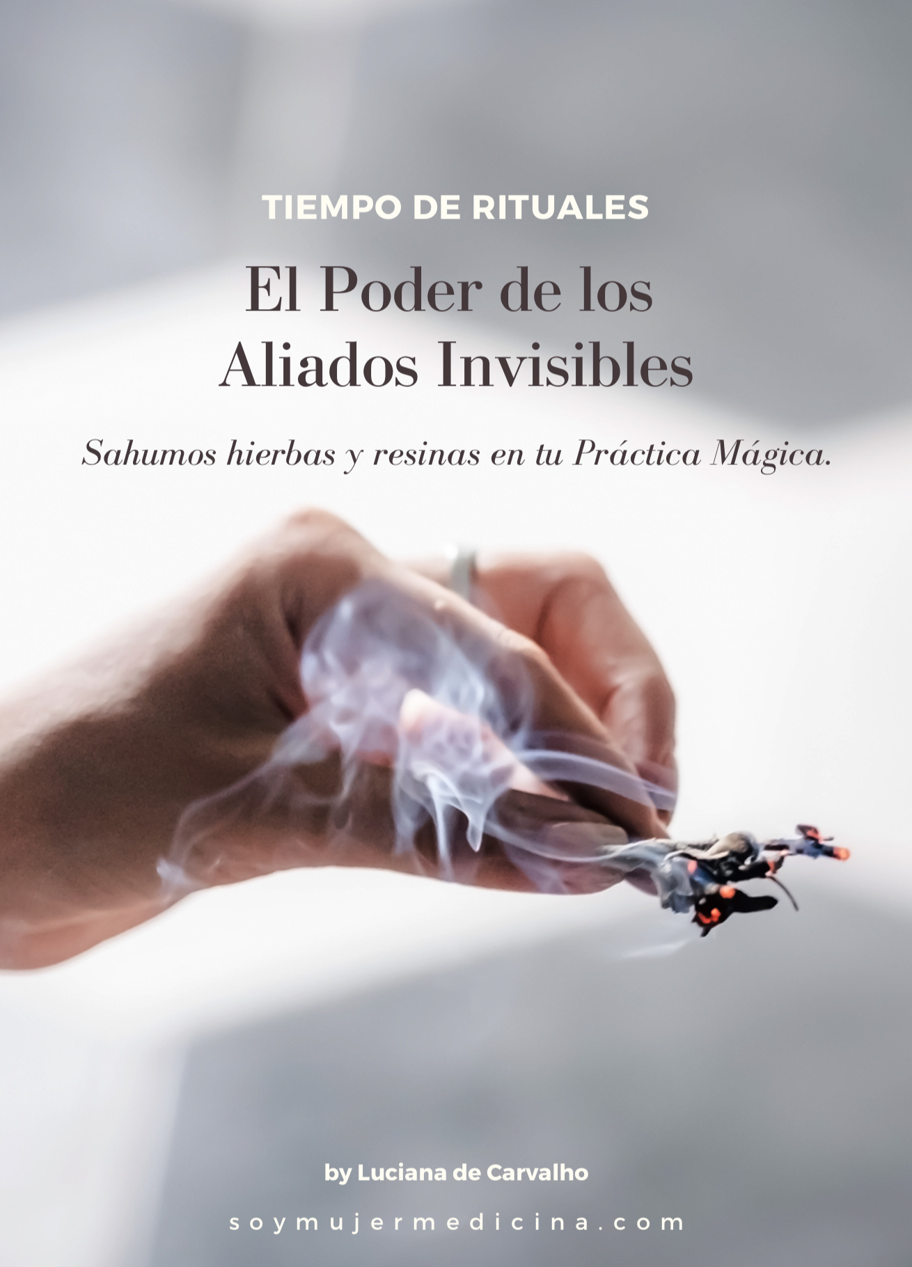 sahumo de salvia blanca para limpieza energetica