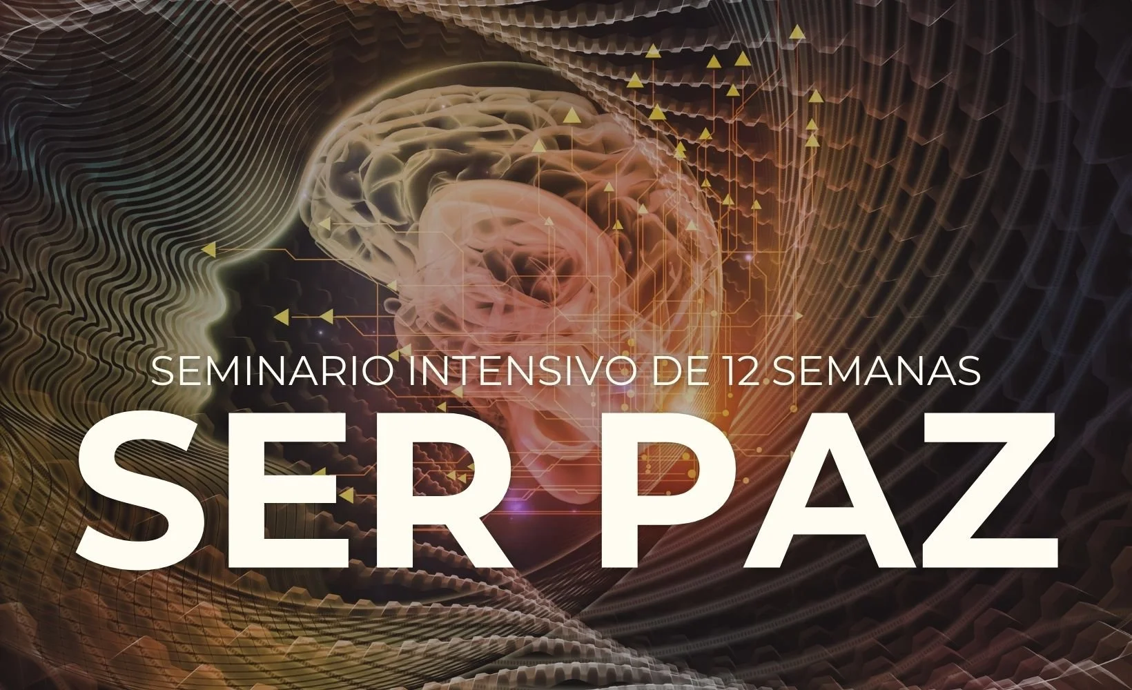 Publicidad de un seminario intensivo de 12 semanas sobre paz, con ilustración de un cerebro y un perfil humano en un fondo digital abstracto en tonos cálidos.