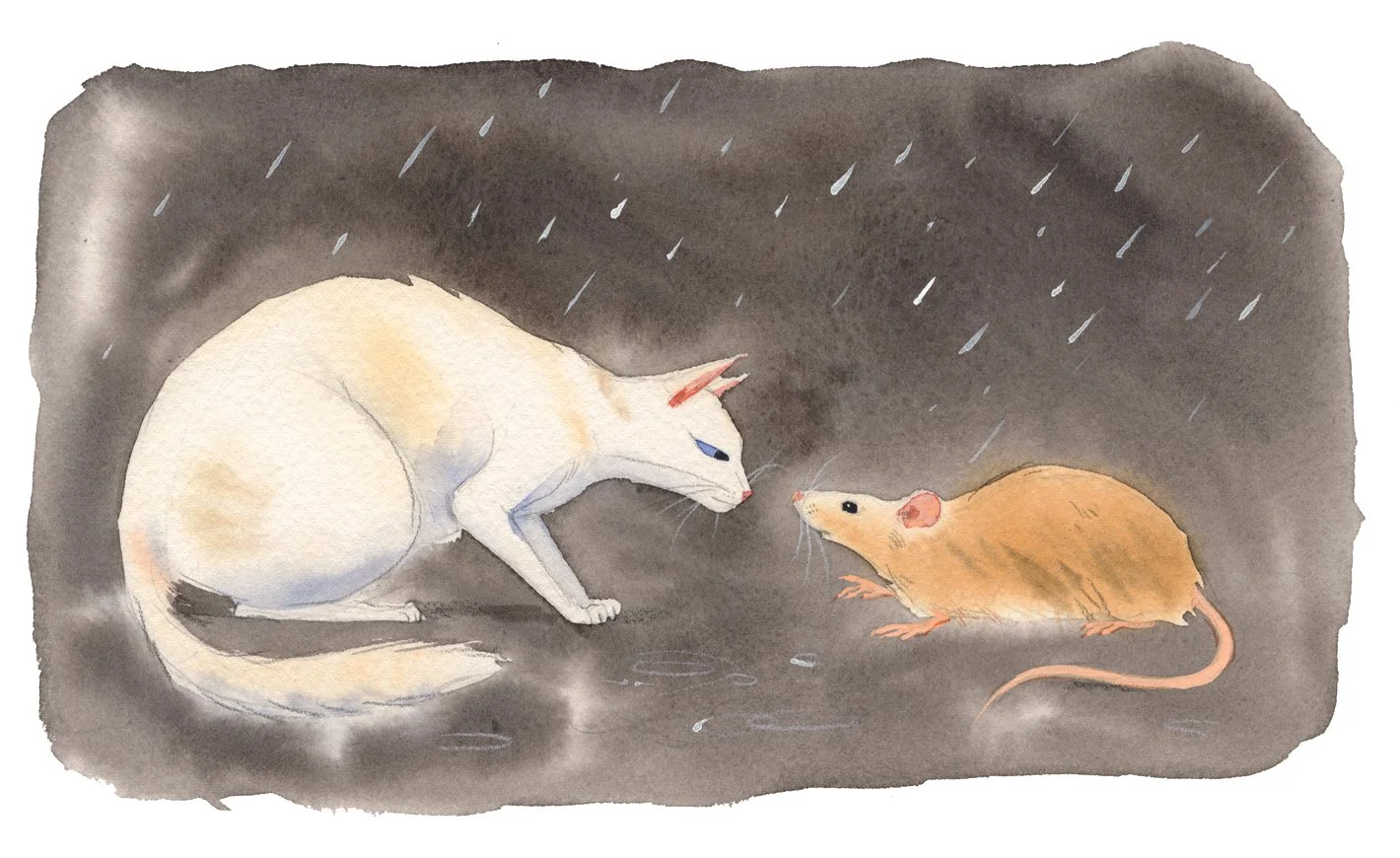 Illustration from Greta the cat book series, written by Vinko Moderndorfer, published by Mladinska knjiga publishing house, Slovenia 2026. Watercolor on paper.