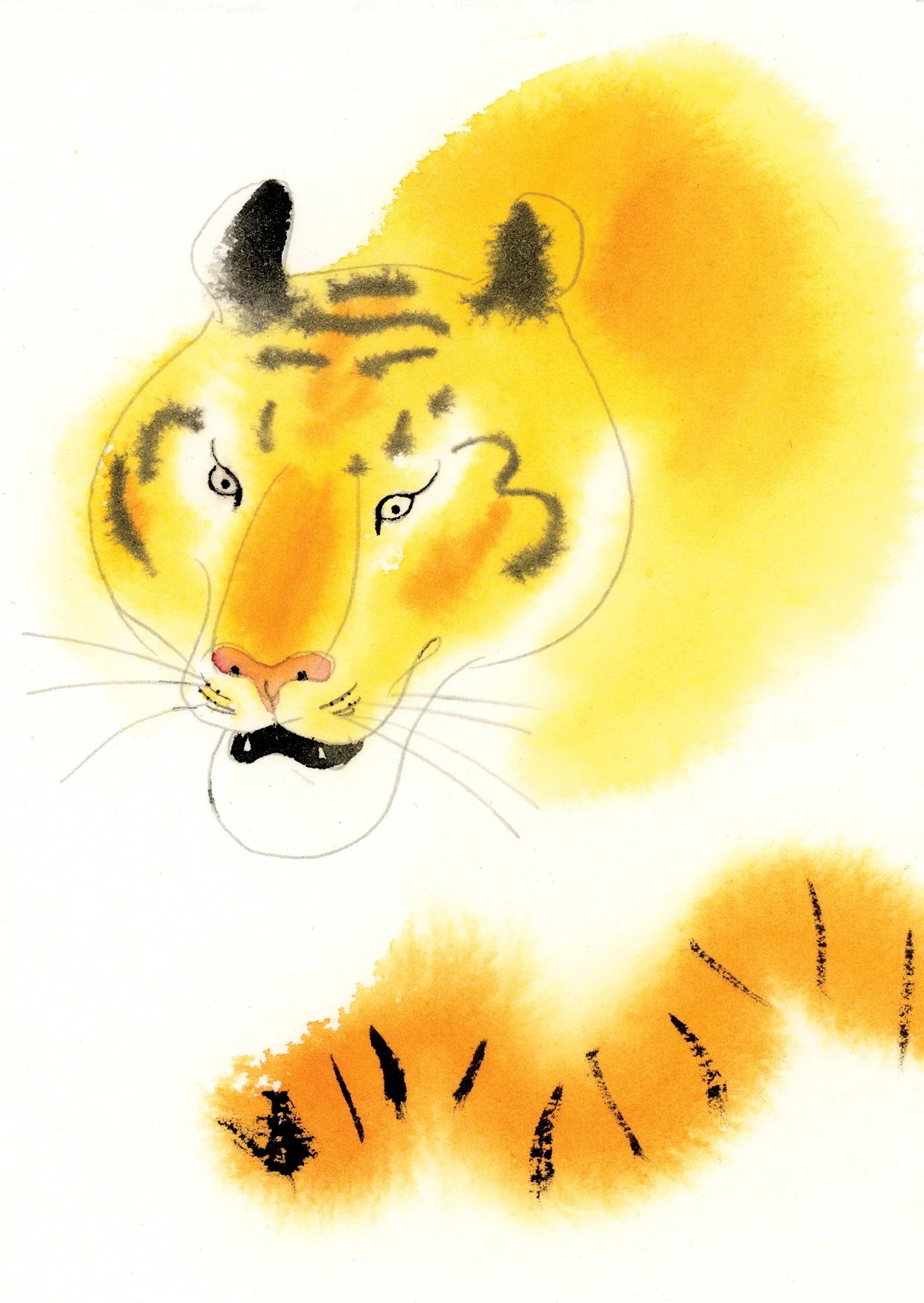 Tiger, personal artwork, unpublished, Sweden 2024. Watercolor on paper.