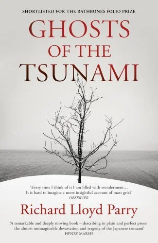 tsunami cover.jpeg