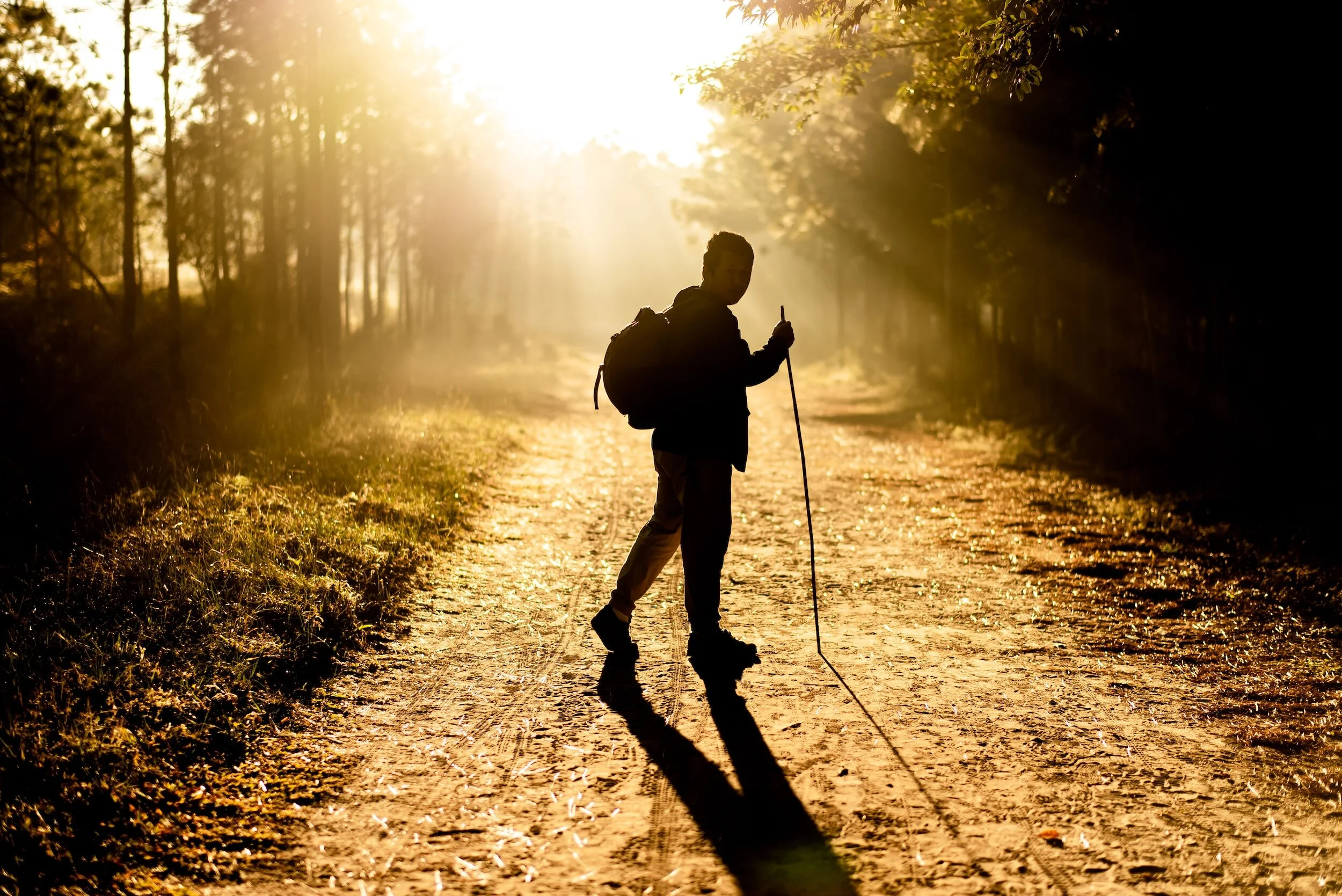 best-books-about-walking-essential-reading-for-walkers-ramblers