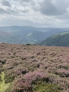 brockagh peak 1.JPG