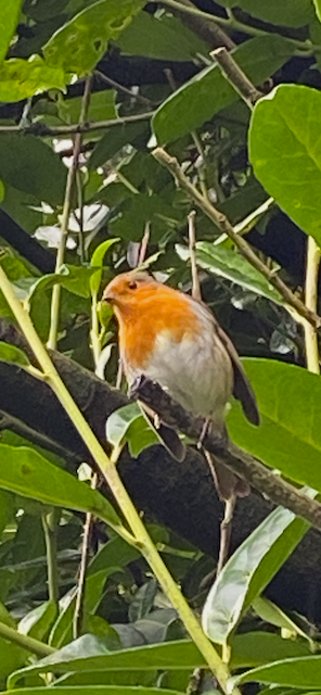 December 2025 Round Up